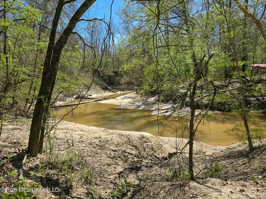 5582 White Apple Road, Roxie, MS 39661 - #3