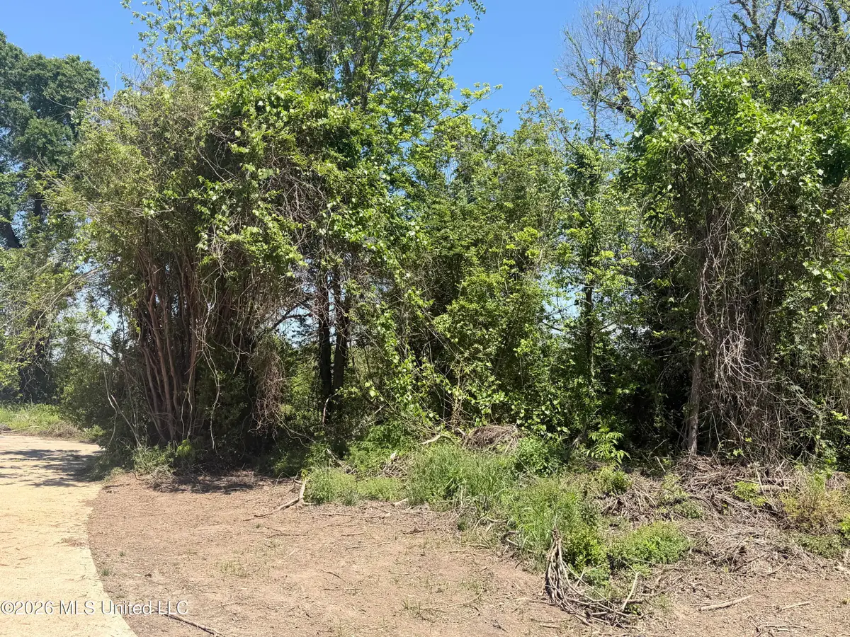 863 Louisiana 131, Vidalia, LA 71373 - #1