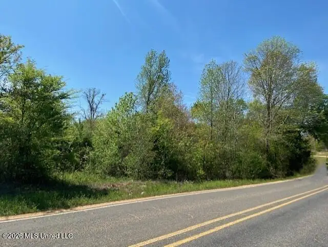 East Tate Road, Coldwater, MS 38618 - #1