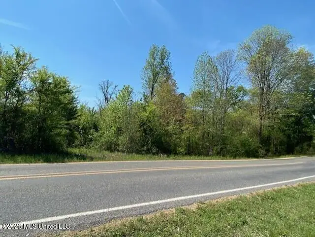 East Tate Road, Coldwater, MS 38618 - #2