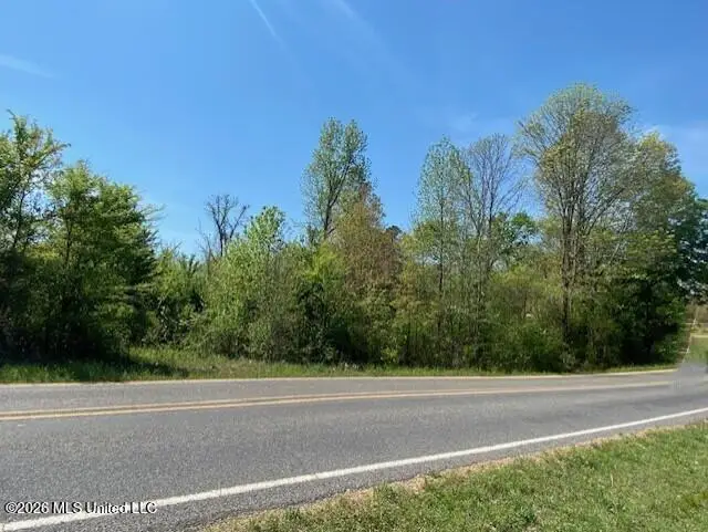 East Tate Road, Coldwater, MS 38618 - #3