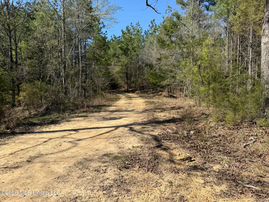 County Road 4103, Sallis, MS 39160 - #2