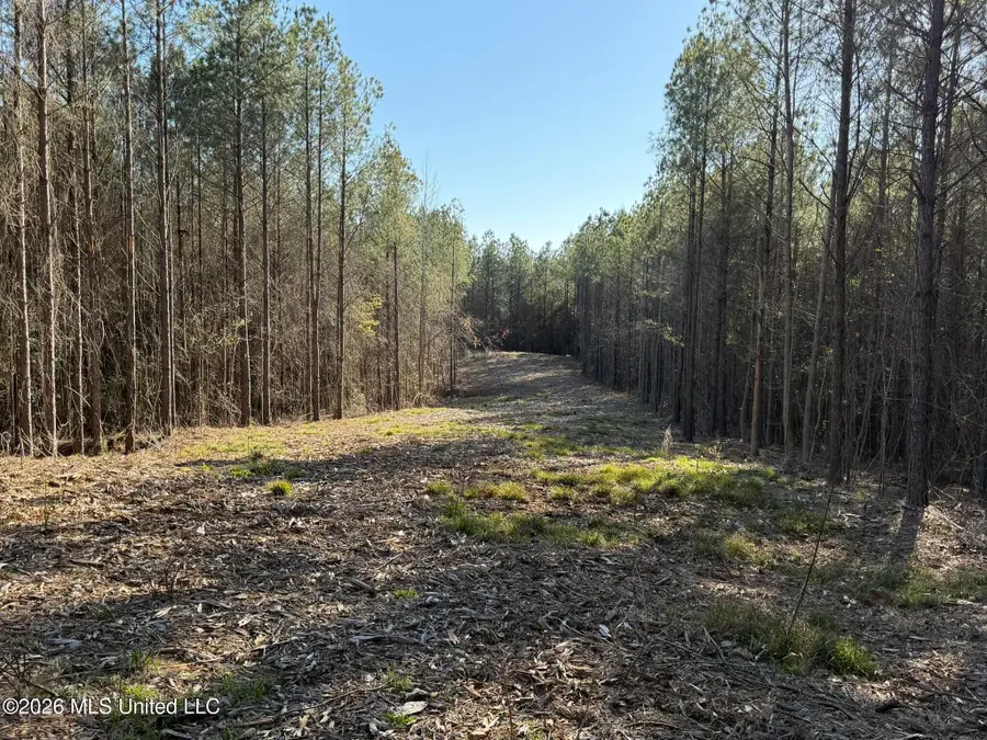 Co Rd 5005, Kosciusko, MS 39090 - #2