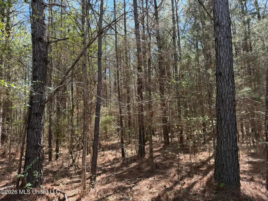 County Road 4102, Goodman, MS 39079 - #2