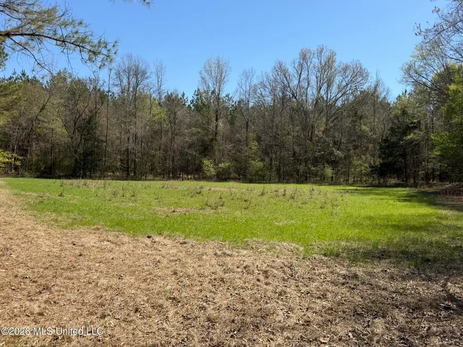 County Road 4102, Goodman, MS 39079 - #3