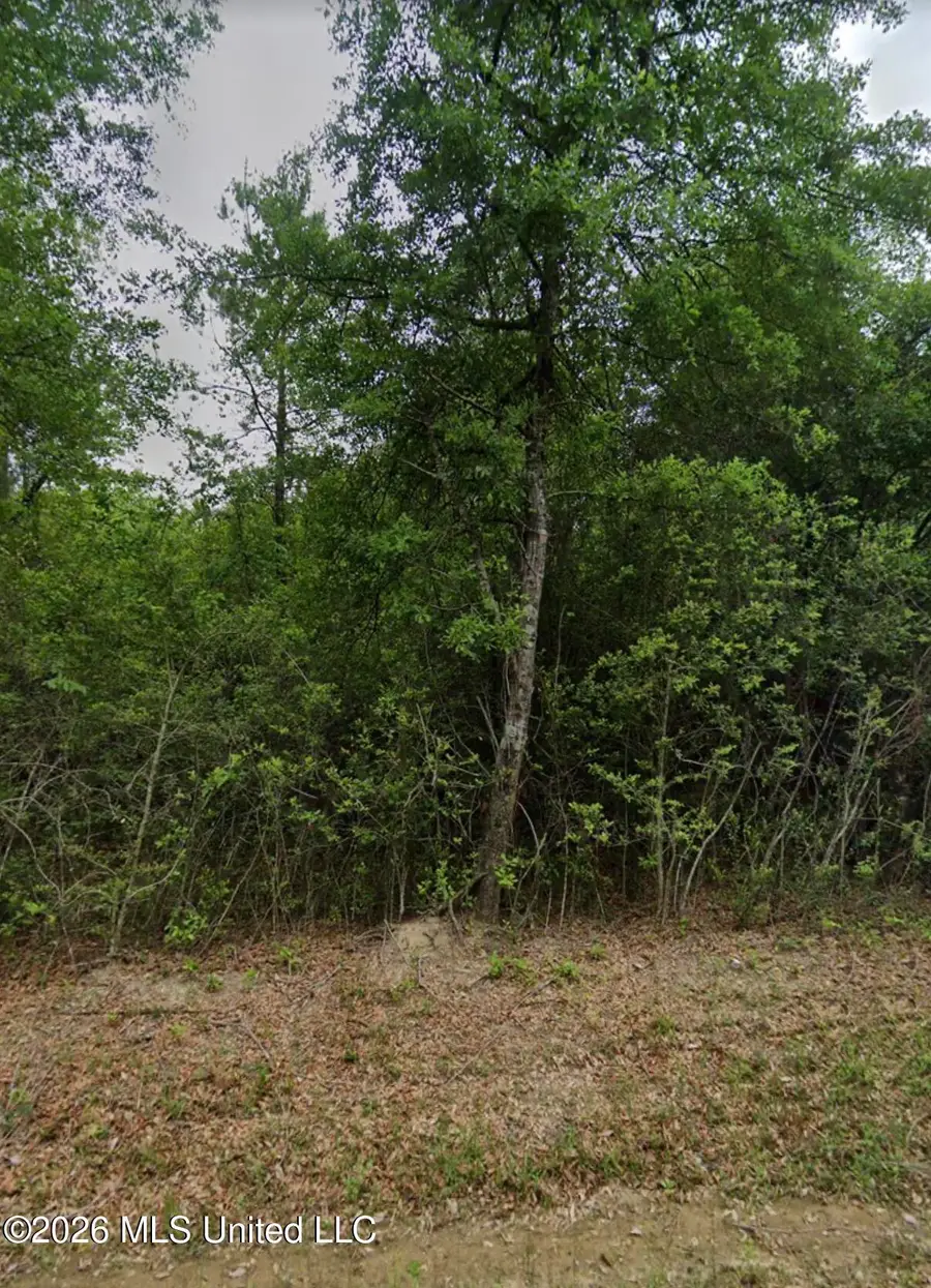 25079 Ramsey Road, Saucier, MS 39574 - #2