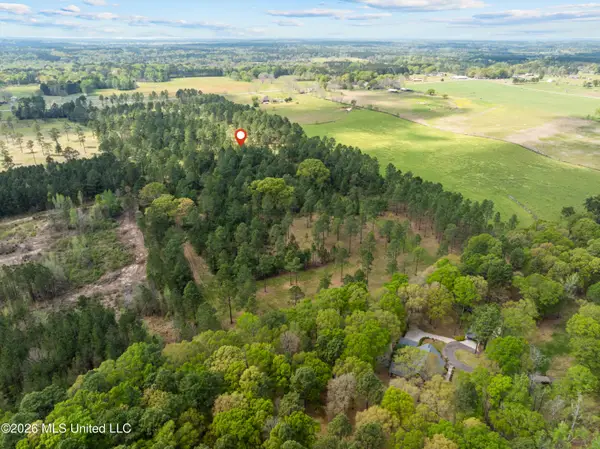 Coal Town Road, Purvis, MS 39475