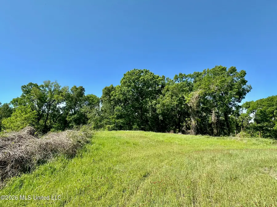 0 Malmaison Road, Carrollton, MS 38917 - #3