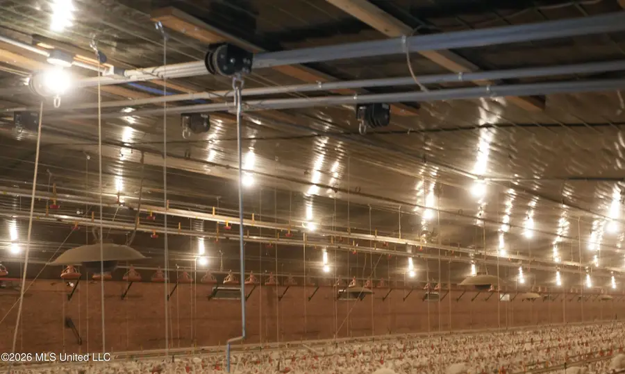 53 Jones Chapel Road, Collins, MS 39428 - #2