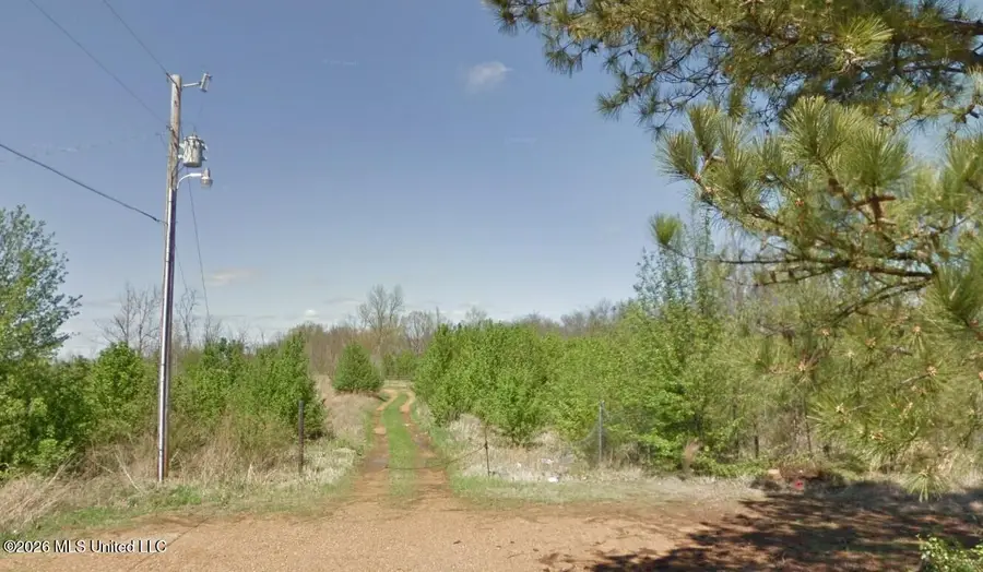7880 Sandidge Road, Olive Branch, MS 38654 - #2
