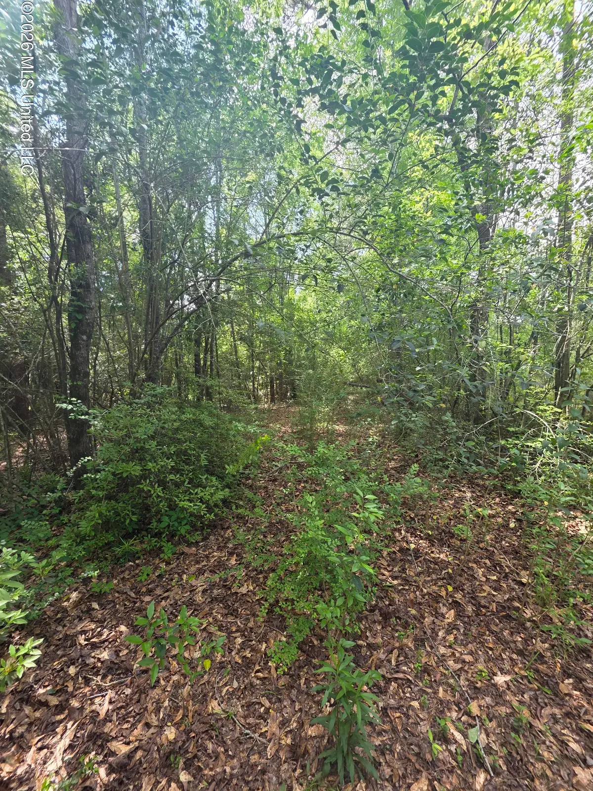 1004 Zone Road, Magnolia, MS 39652 - #1