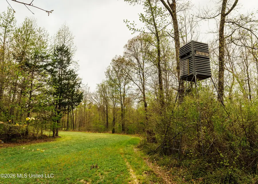 2776 Sees Chapel Road, Sarah, MS 38665 - #2