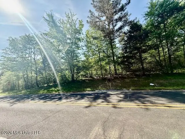 10832 Woolsey Road, Olive Branch, MS 38654 - #3