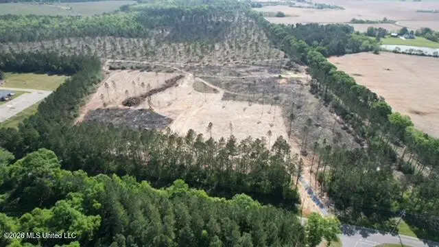 25 Acres City Bridge Road, Perkinston, MS 39573 - #3