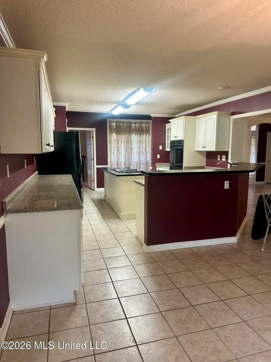7472 Alphaba Road, Coldwater, MS 38618 - #3