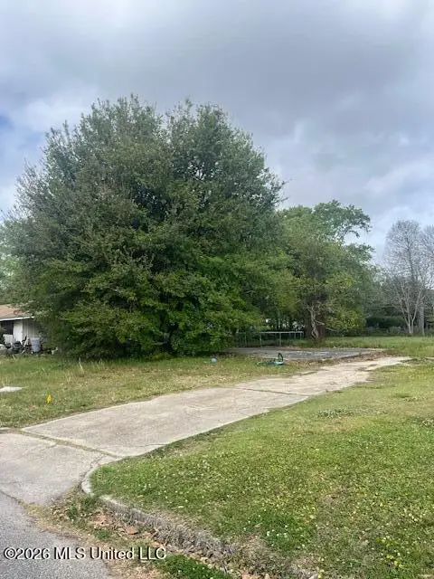 4519 Newman Avenue, Pascagoula, MS 39581 - #3
