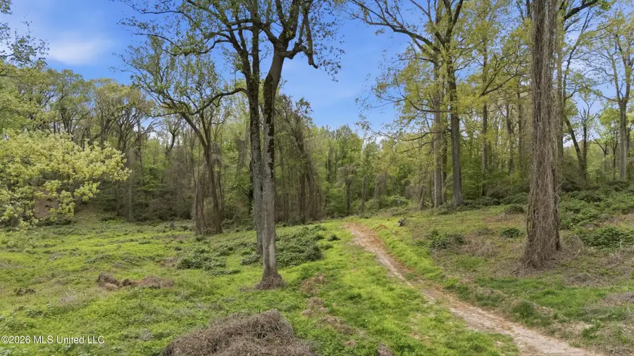 7 Nail Road, Walls, MS 38680 - #2