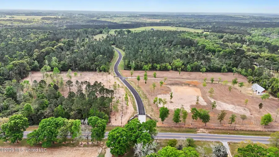 Lot 10 Pine Ridge Lane, Lucedale, MS 39452 - #3