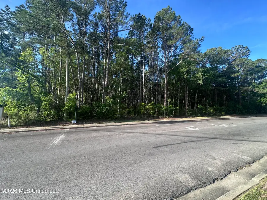 Martin Luther King Boulevard, Moss Point, MS 39563 - #3