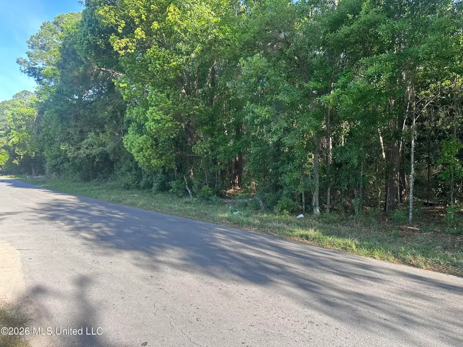 Gregory St. Street, Moss Point, MS 39563 - #3