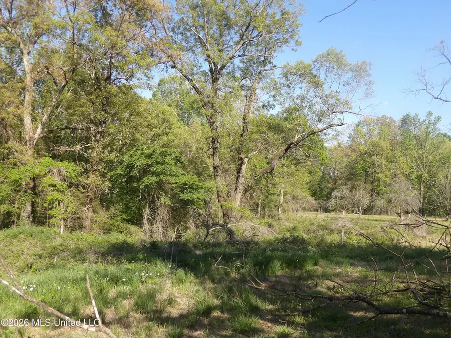 4269 Laws Hill Road, Waterford, MS 38685 - #2