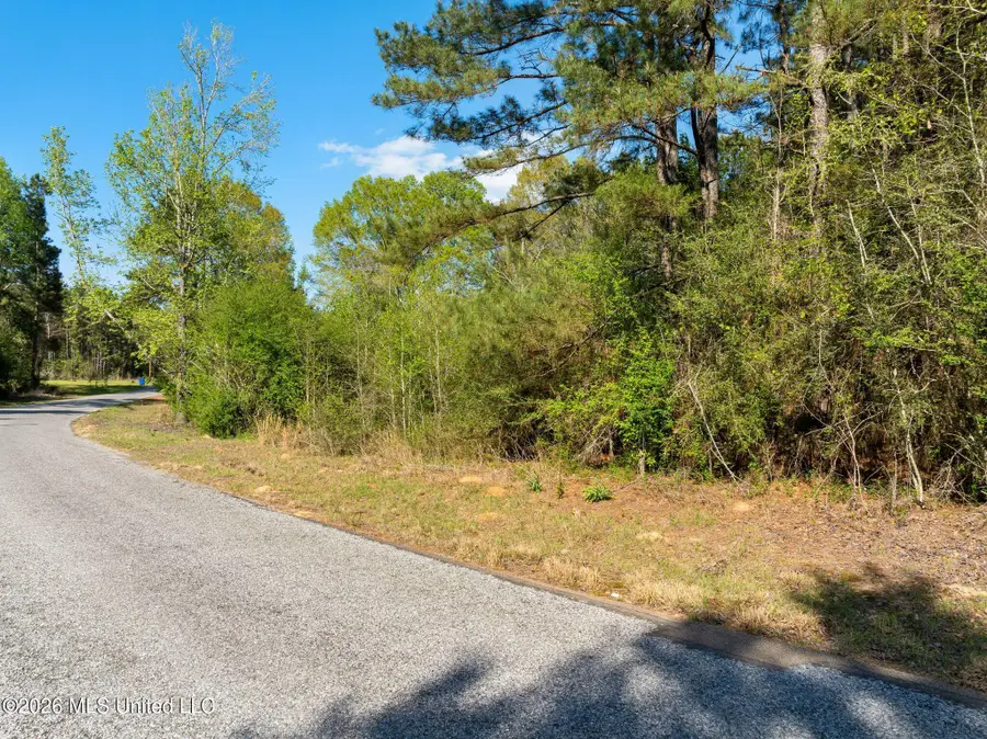 3 Acres Will Barber Road, Pinola, MS 39149 - #2