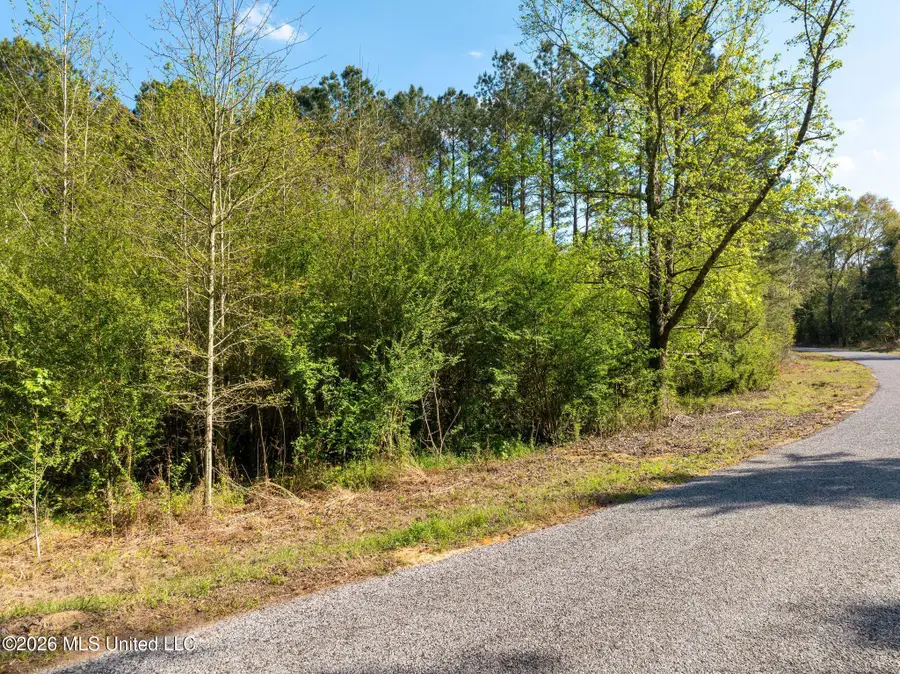 3 Acres Will Barber Road, Pinola, MS 39149 - #3