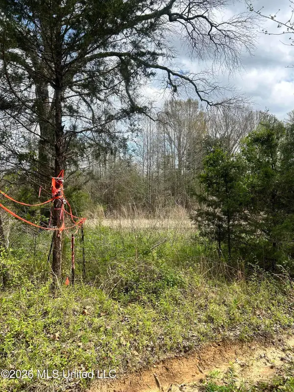 Lot 1 Matthews Drive, Byhalia, MS 38611