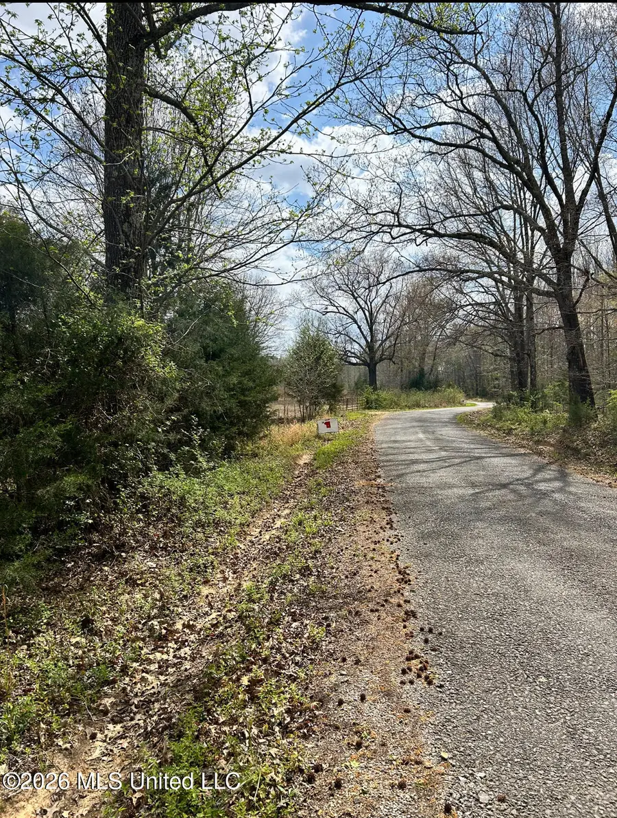 Lot 4 Matthews Drive, Byhalia, MS 38611 - #2