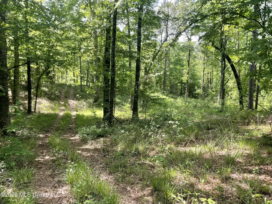 420 SE River Rd Drive, Bogue Chitto, MS 39629 - #2