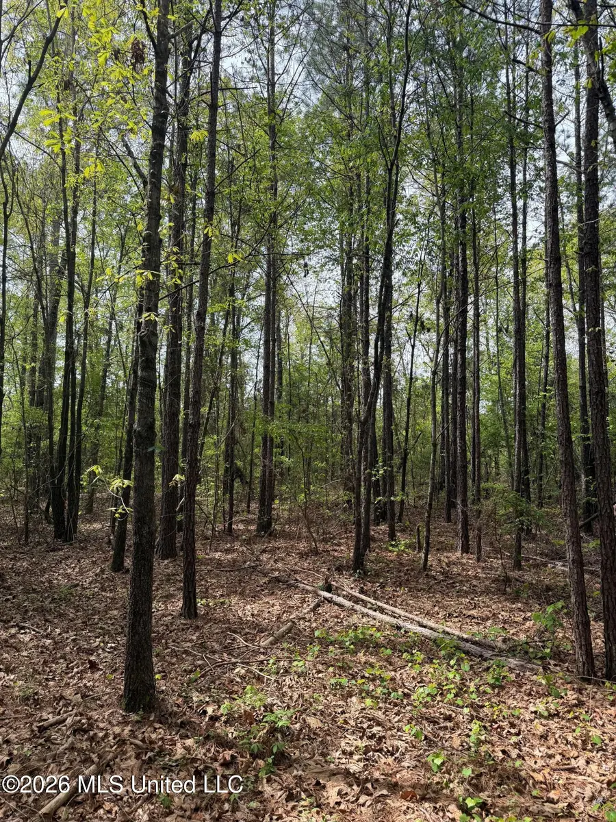 Old Jackson Road, De Kalb, MS 39328 - #2