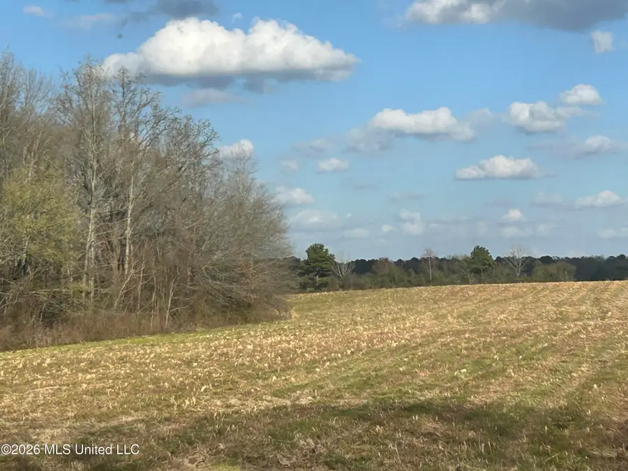 Old Hillsboro Road, Morton, MS 39117 - #2