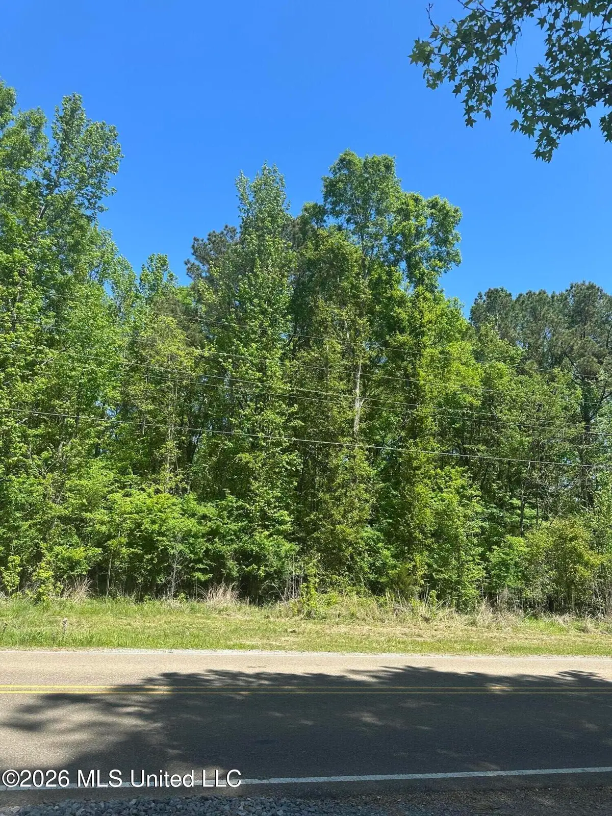 Robinson Springs Road, Madison, MS 39110 - #1