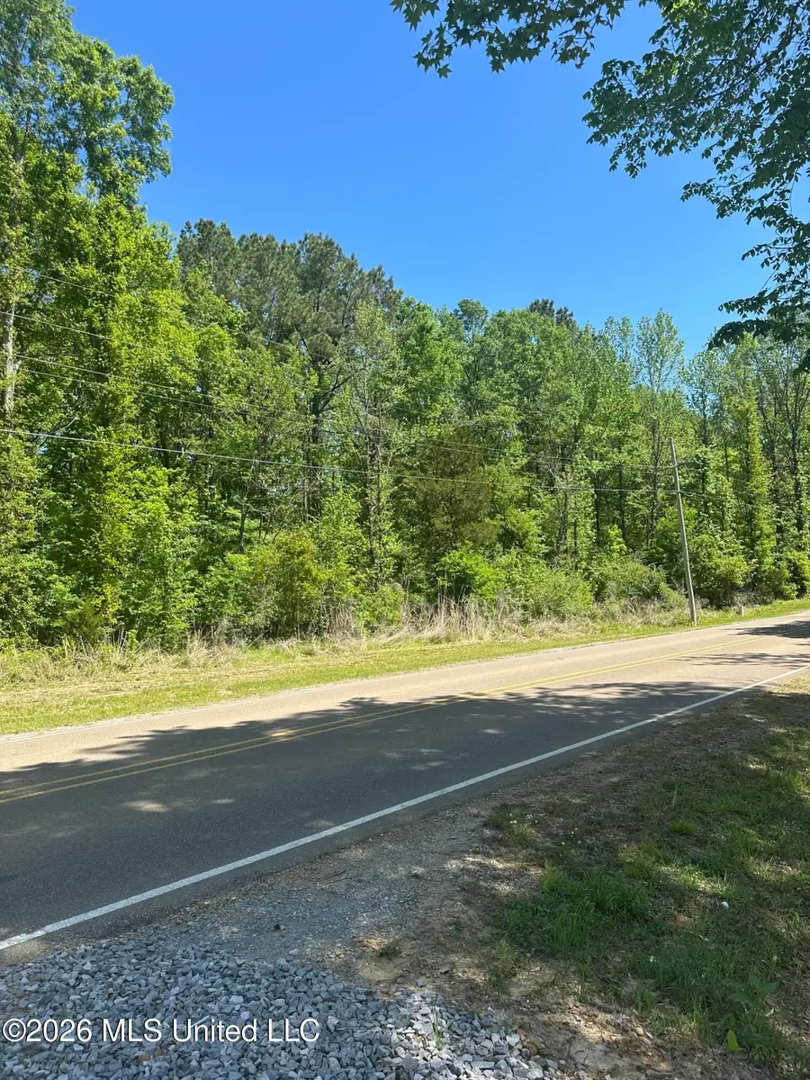 Robinson Springs Road, Madison, MS 39110 - #3