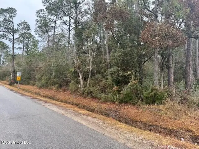 Tabor Street, Waveland, MS 39576 - #2