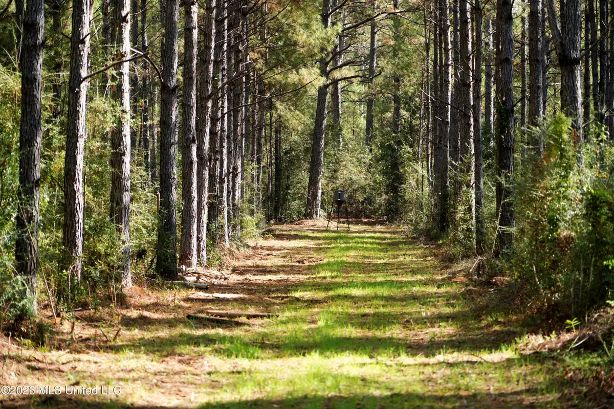 0 Mallalieu Drive, Ruth, MS 39662 - #1