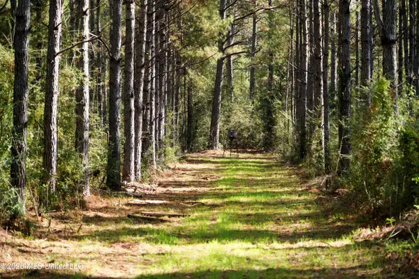 0 Mallalieu Drive, Ruth, MS 39662