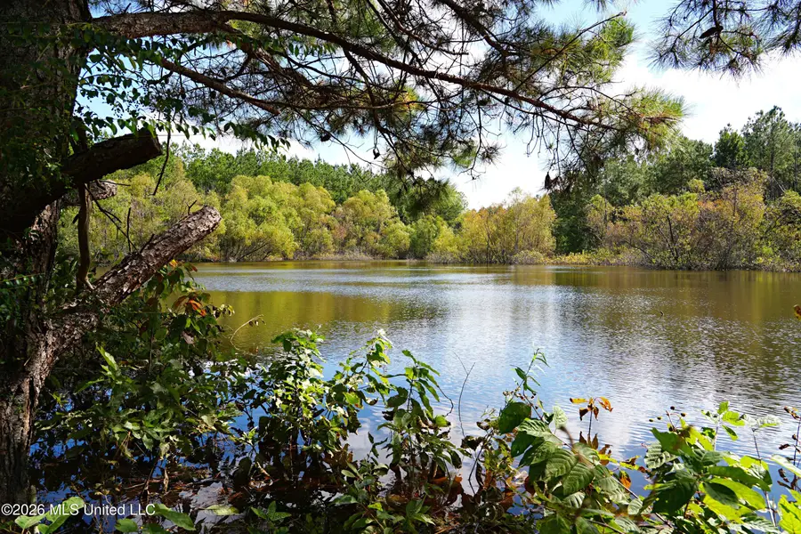 0 Mallalieu Drive, Ruth, MS 39662 - #3