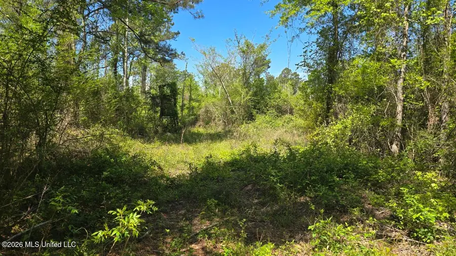 00 Mannings Crossing Road, Jayess, MS 39641 - #3