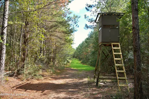 SE Pleasant Grove Road, Ruth, MS 39662