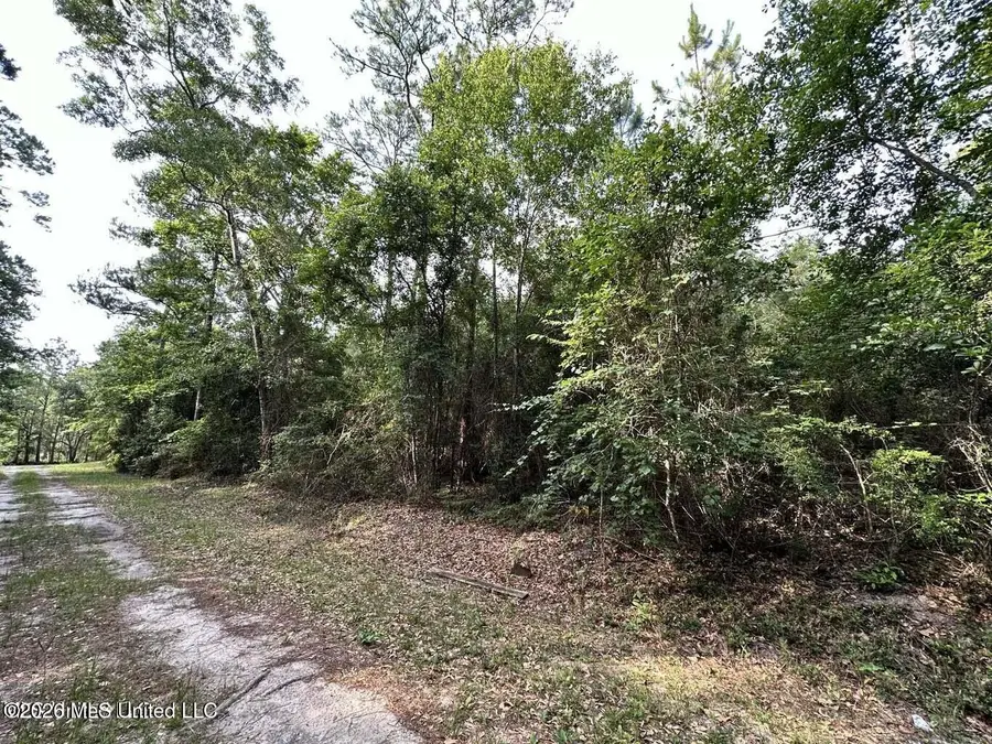 Bay Street, Ocean Springs, MS 39564 - #3