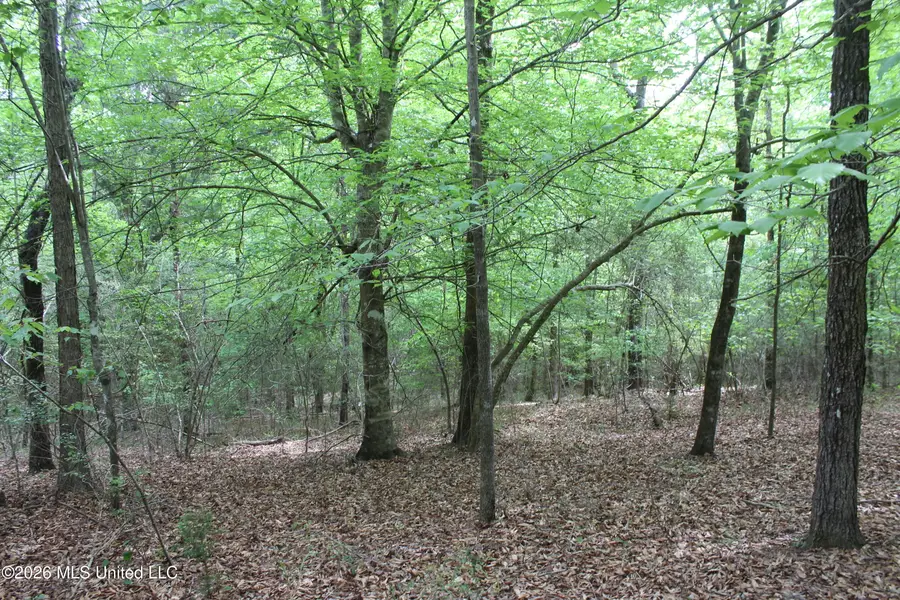 Charlie Boyd Road, Jayess, MS 39641 - #3