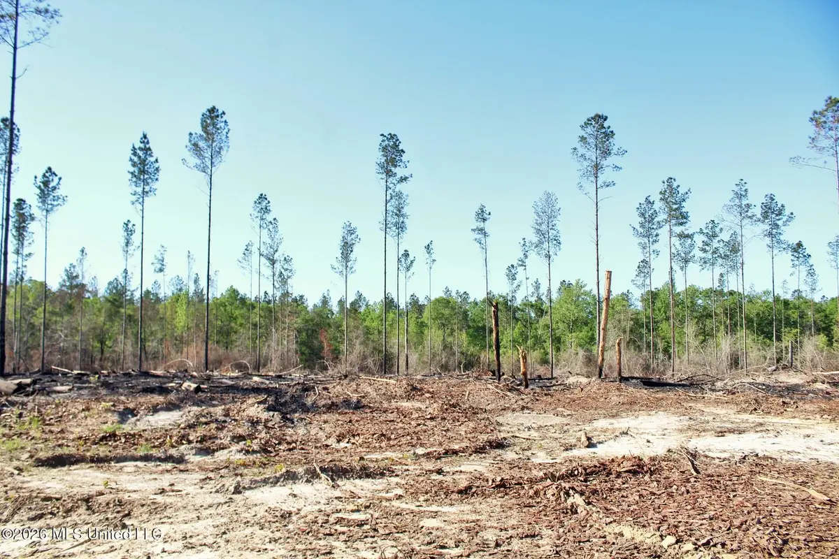 10.34ac Little Cedar Road, Lucedale, MS 39452 - #1