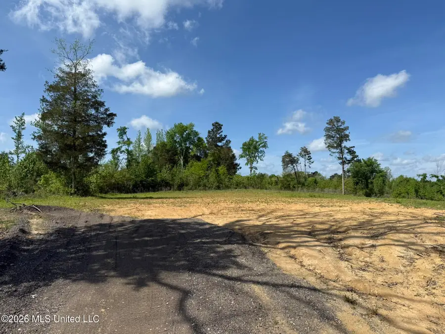 25 Honey Suckle Cove, Holly Springs, MS 38635 - #2