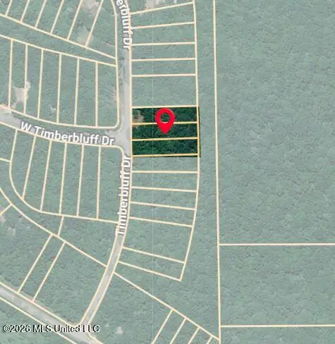 Timber Bluff Drive, Lumberton, MS 39455