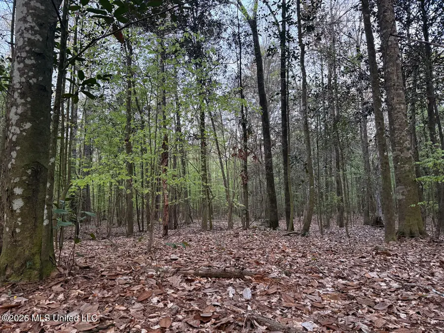 Owen Boone Road, Puckett, MS 39042 - #2