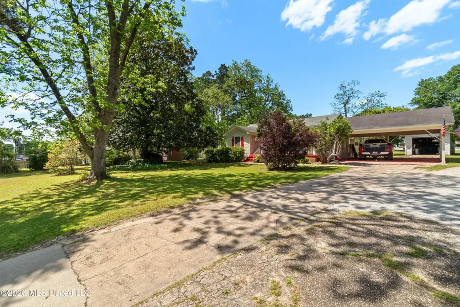 294 Saint Peter Street, State Line, MS 39362 - #2