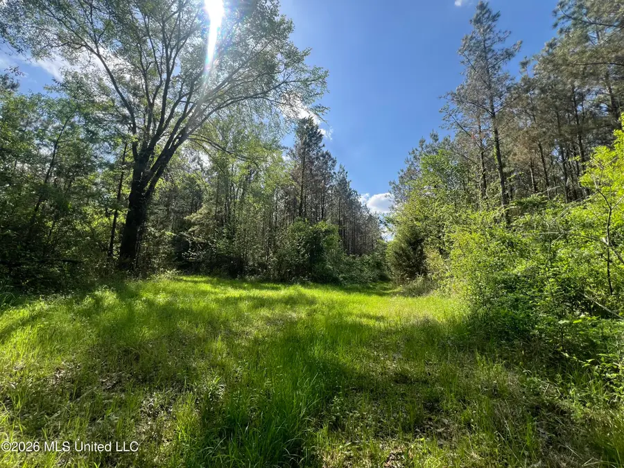 1479 Truesdale Road, Carthage, MS 39051 - #2