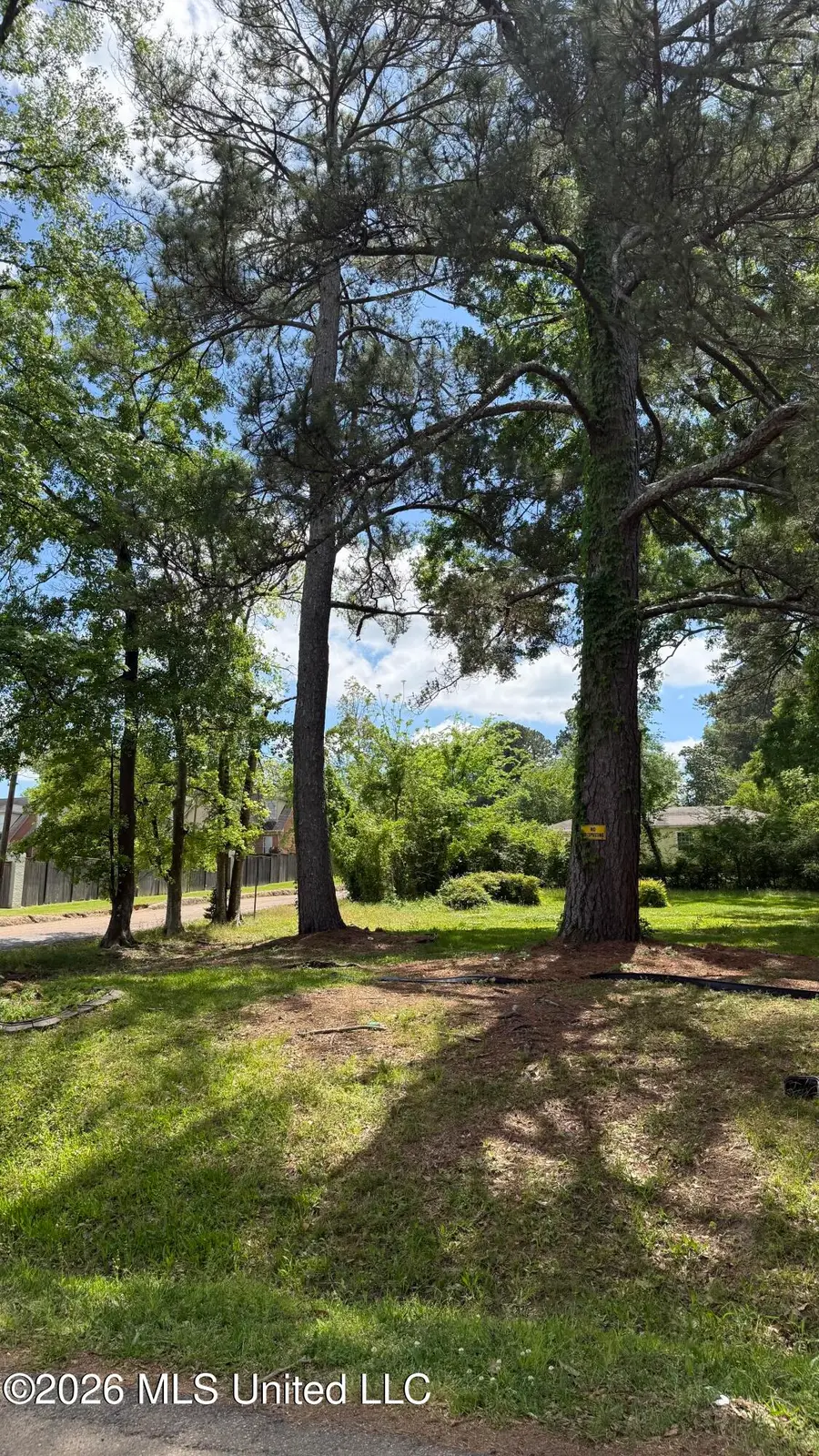 791 Cedarhurst Road, Jackson, MS 39206 - #2