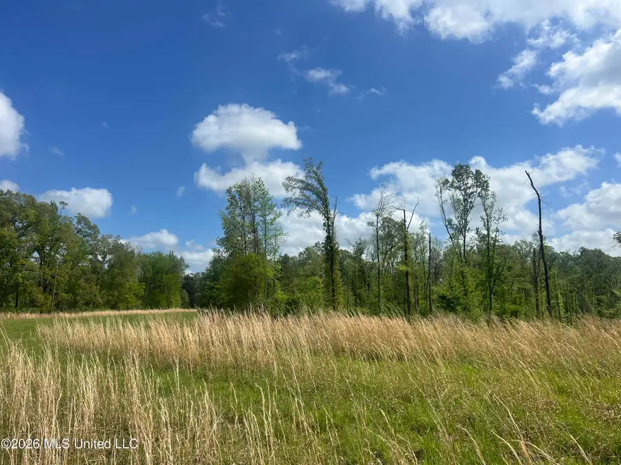 0 Stevens Road, Yazoo City, MS 39194 - #2